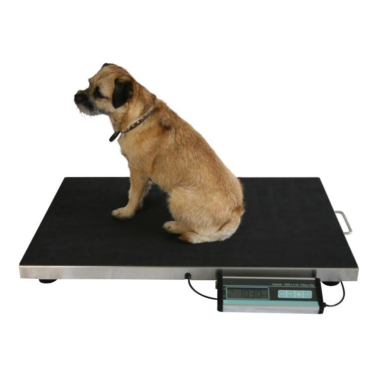 Marsden V-22 Small Veterinary Pet Scale For Weighing Cats & Dogs