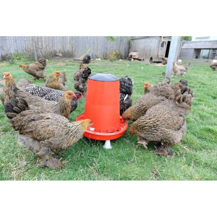 Eco Chicken Feeder 12kgs
