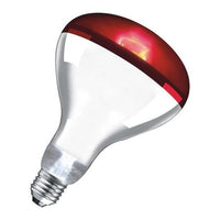 Doghealth Infared Heat Lamp With Eco Switch