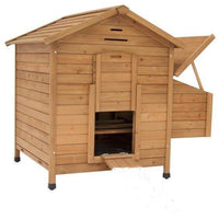 Maple Cat Kennel With Run