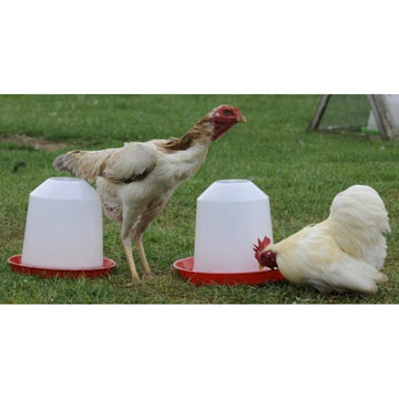 Chicken Feeder &  Drinker Set - 5kg & 5 Litre - 232 & 212