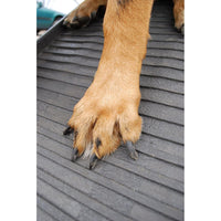 DogHealth non slip lightweight folding dog ramp