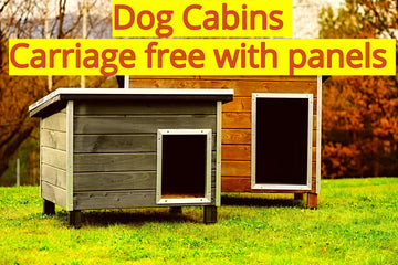 Dog Cabins ordered with dog run panels