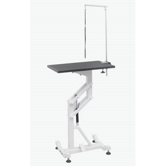 Aeolus Air Lift Dog Grooming Table - FT-838-REC