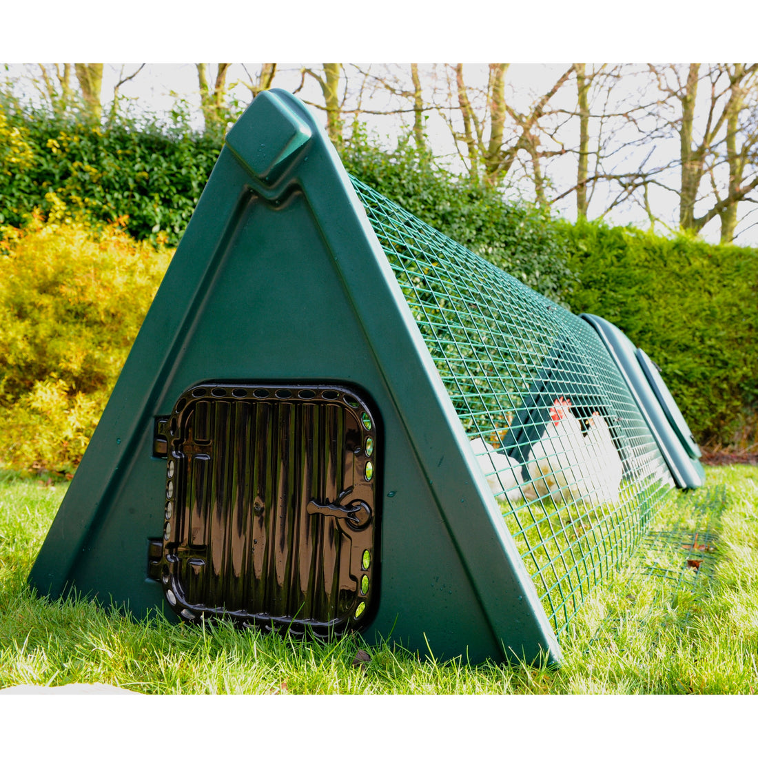 Cosy Chicken Coop Recycled Plastic-ideas4petscouk