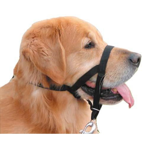 Halti Dog Headcollar Leather Padded  - Black