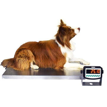 Marsden Large Dog Veterinary Weighing Scale V-200