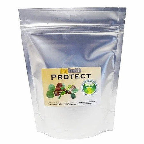 Doghealth Protect digestive probiotic