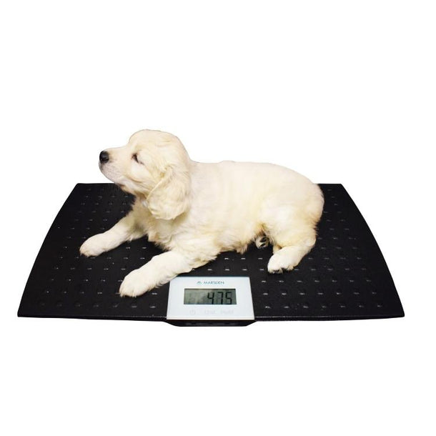 Marsden Small  or Medium Dog Veterinary Weighing Scale V-100