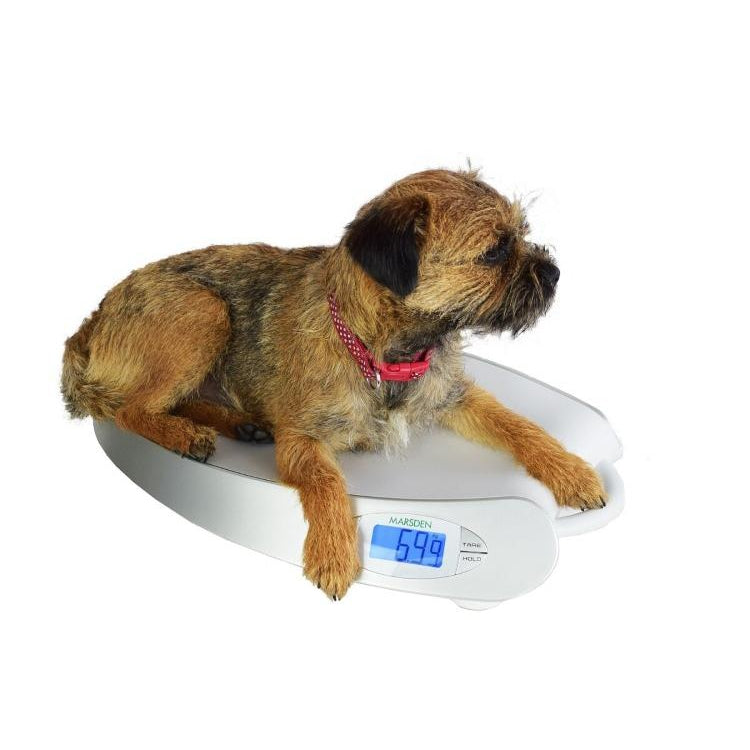 Marsden Small Dog Veterinary Weighing Scale V-23