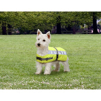 Dog Jacket Flecta High Vis Water Resistant - 4 Colours 11 Sizes