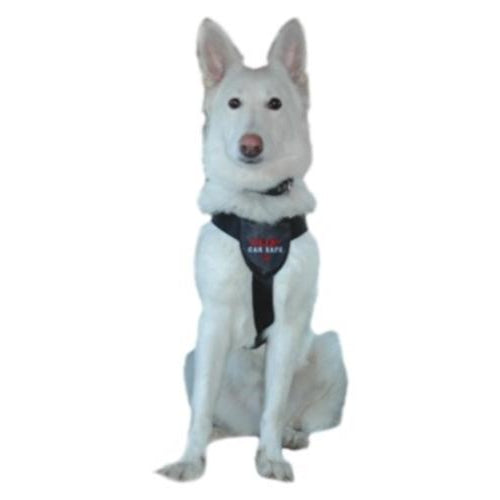 Clix CarSafe Dog Harness