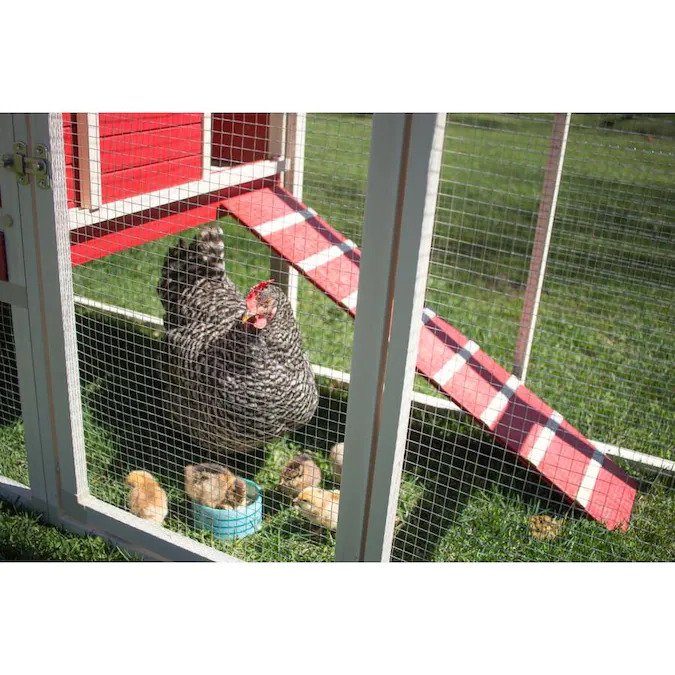 Sonoma Ecoflex Plastic Chicken Coop & Run