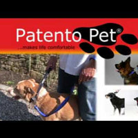 Patento Large Dog Collar - Premium