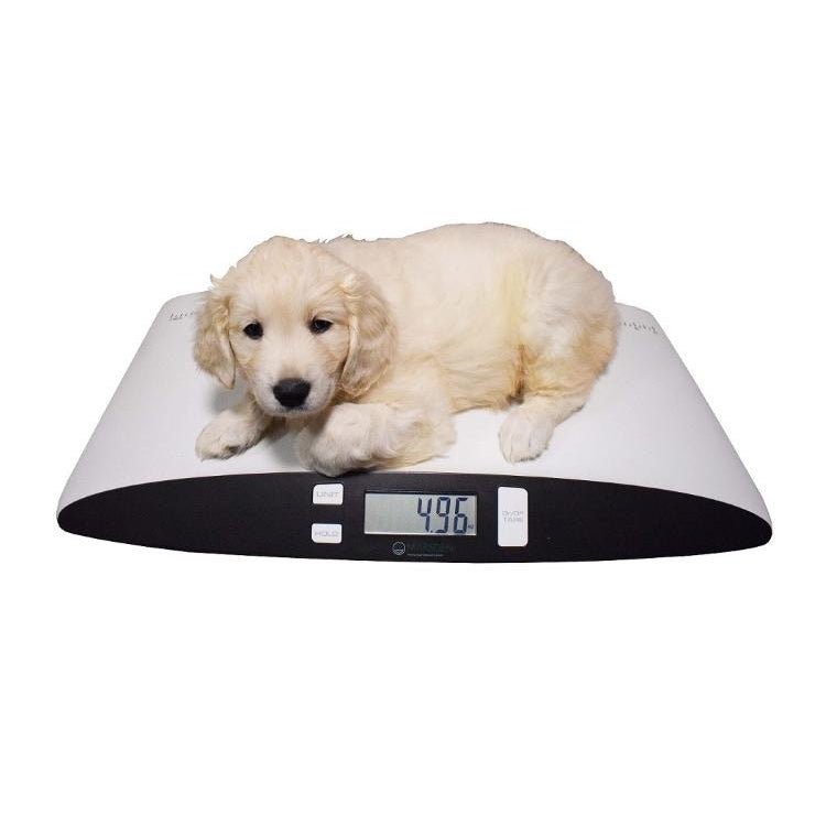 Marsden Small Pet Veterinary Weighing Scale V-25