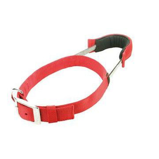Patento Dog Collar with Integrated Lead Basic - Large